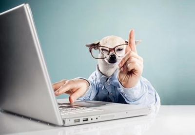 微信商城用户分析该从哪些方面入手?