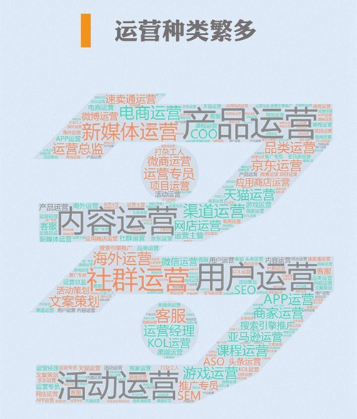 电商网店运营的内容包括哪些?