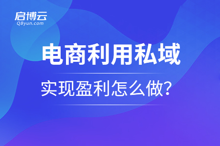 电商利用私域实现盈利应该怎么做？