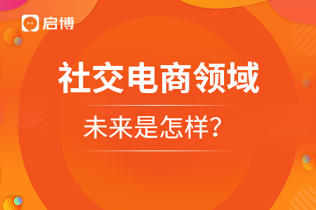 社交电商领域的未来是怎样？