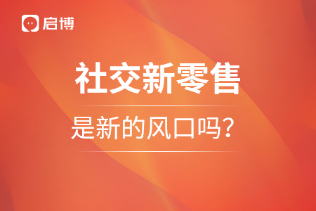 2021年，社交新零售是新的风口吗？