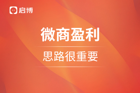 移动社交电商想要实现盈利，思路很重要