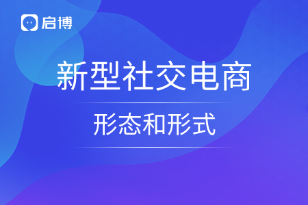 新型社交电商的形态和形式