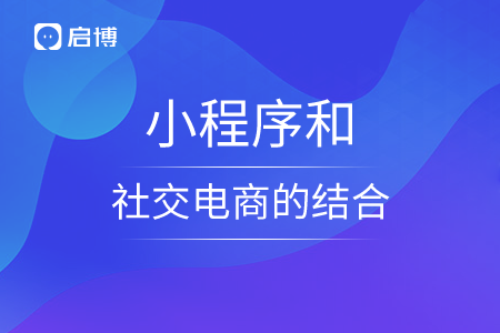 小程序和社交电商的结合